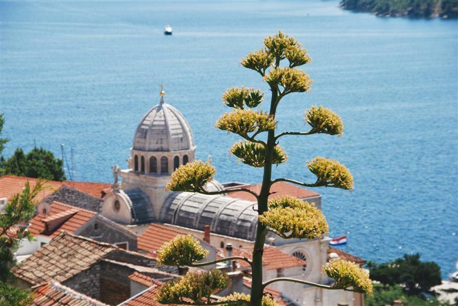 Apartment Royal Šibenik Exterior foto