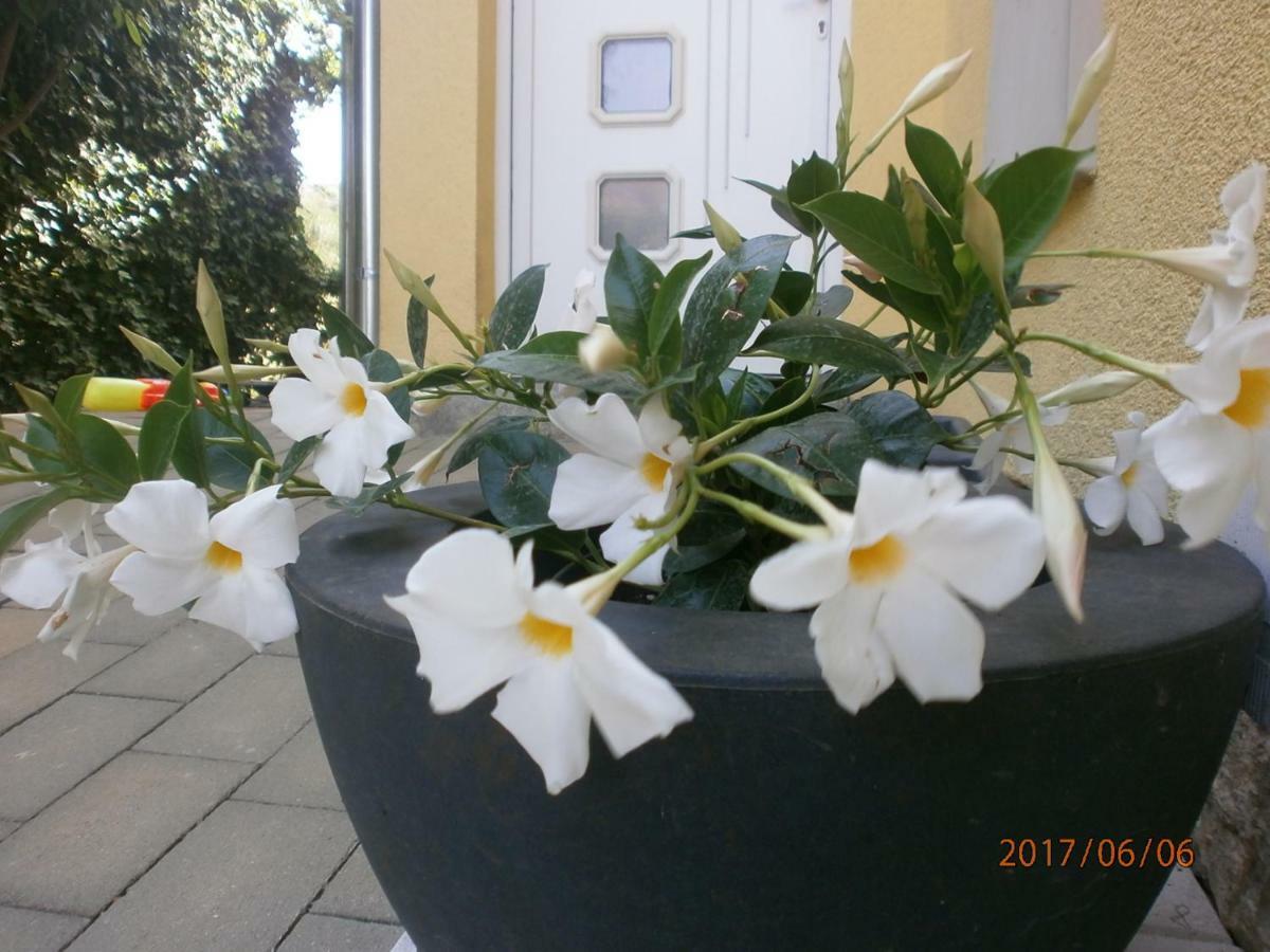 Apartment Royal Šibenik Exterior foto