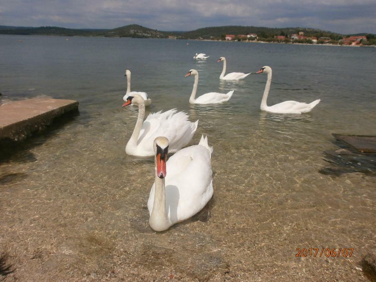 Apartment Royal Šibenik Exterior foto